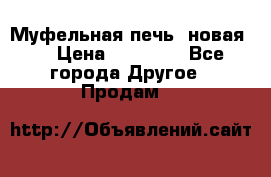 Муфельная печь (новая)  › Цена ­ 58 300 - Все города Другое » Продам   